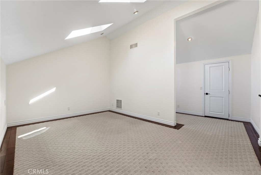 29881 White Otter