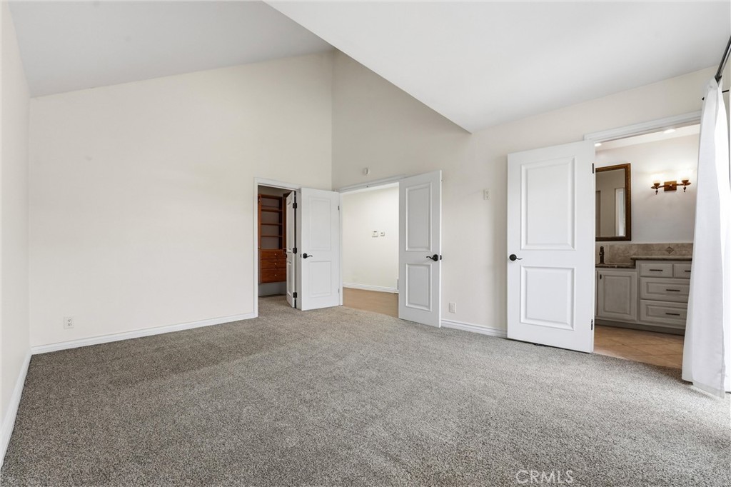 29881 White Otter