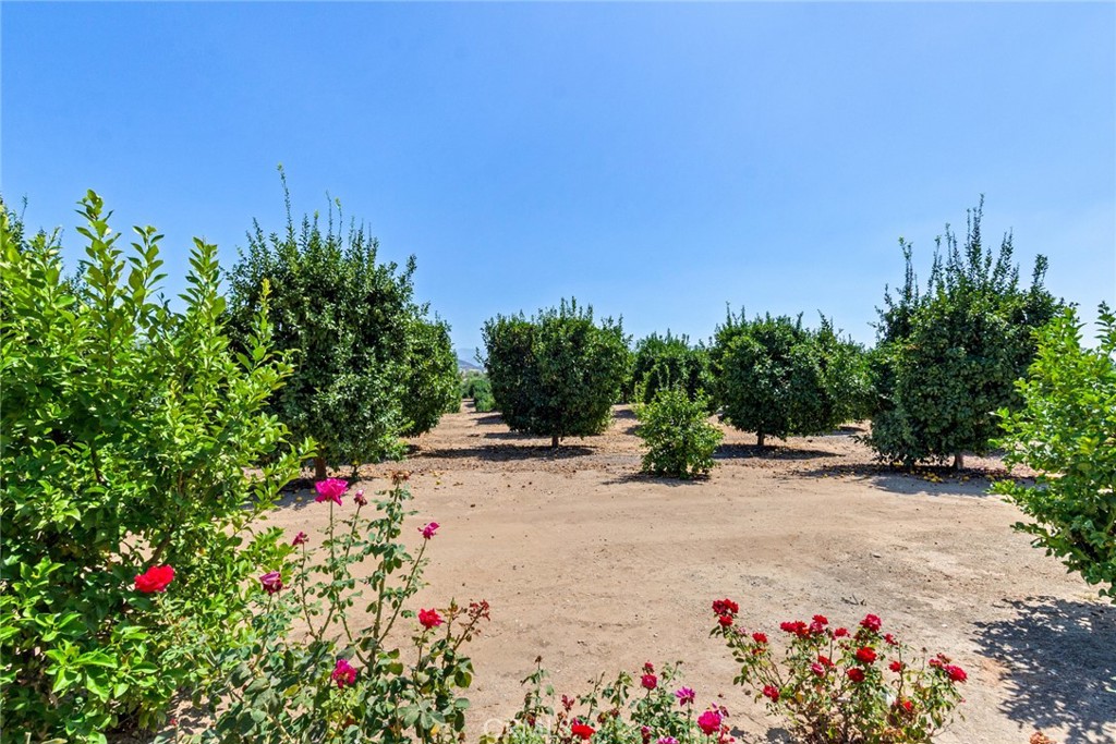 36733 Glenoaks