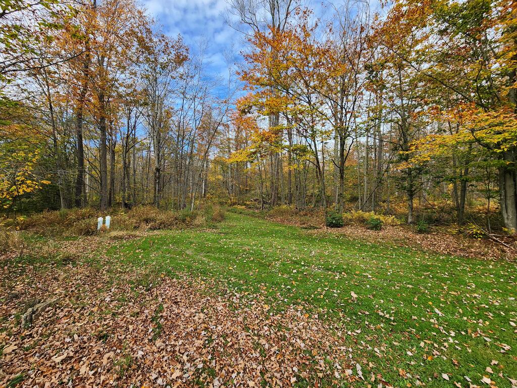 4477 Cherry Springs Rd
