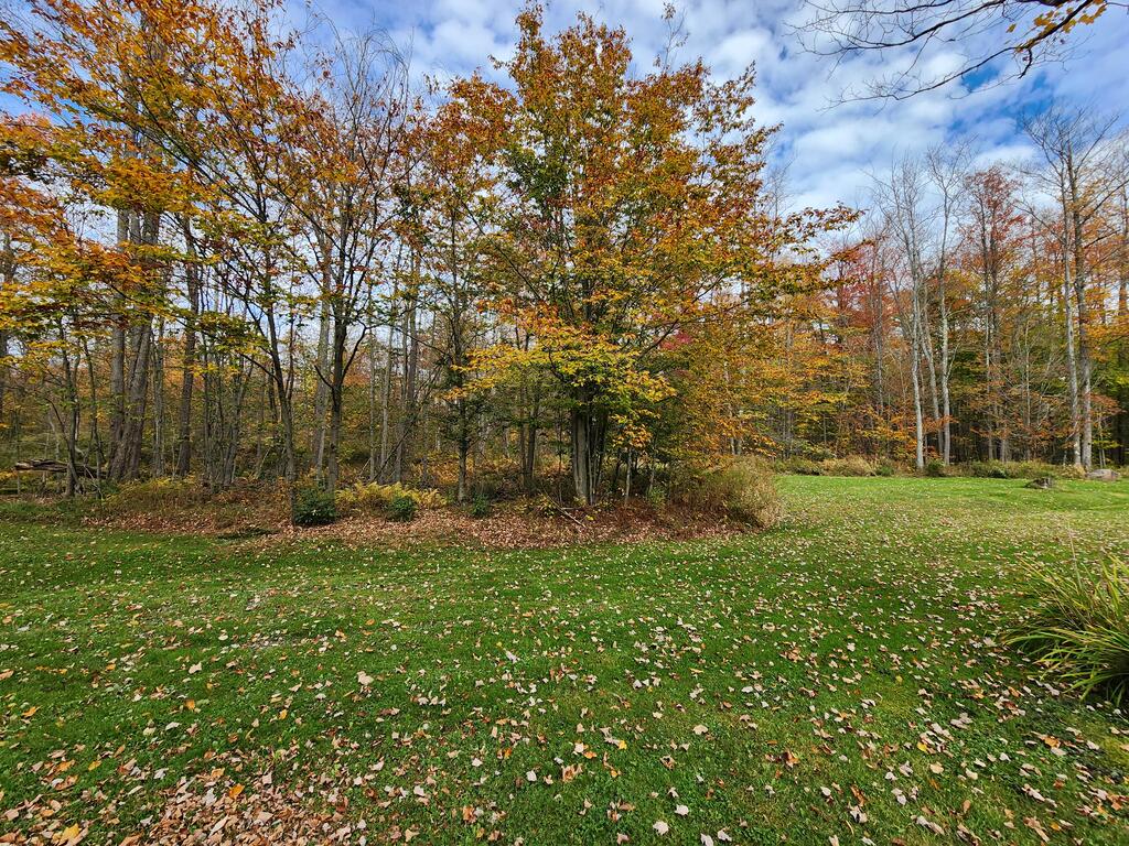 4477 Cherry Springs Rd