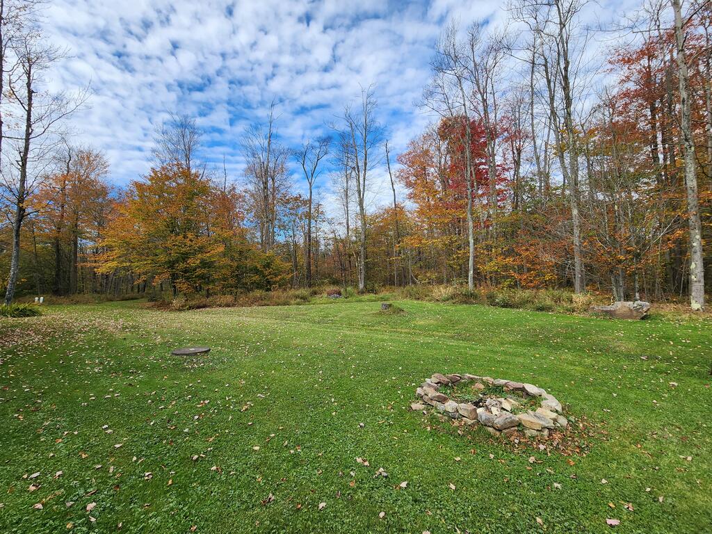4477 Cherry Springs Rd