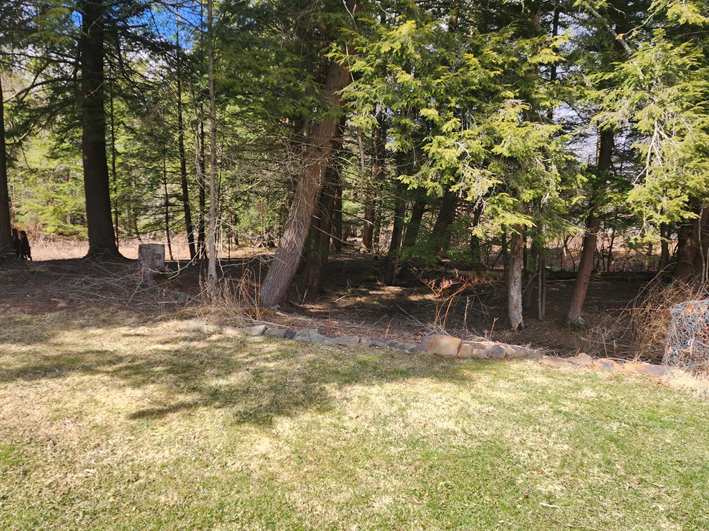 130 Cherry Springs Rd