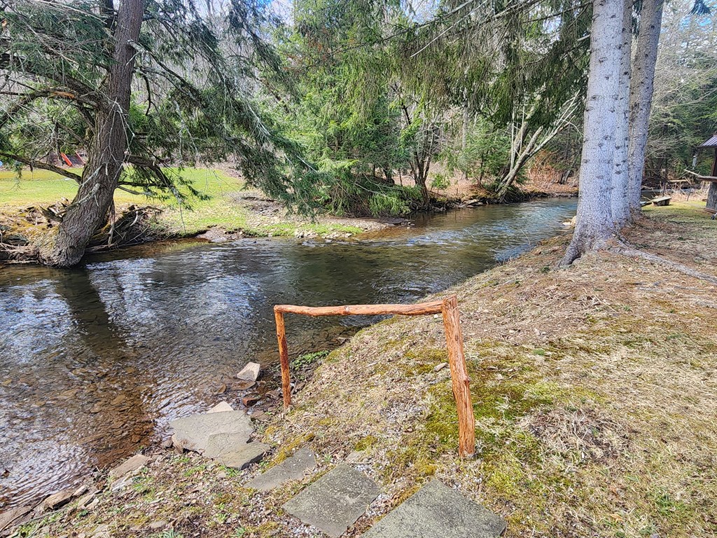 130 Cherry Springs Rd