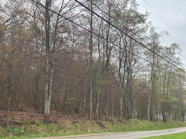 0 Route 607