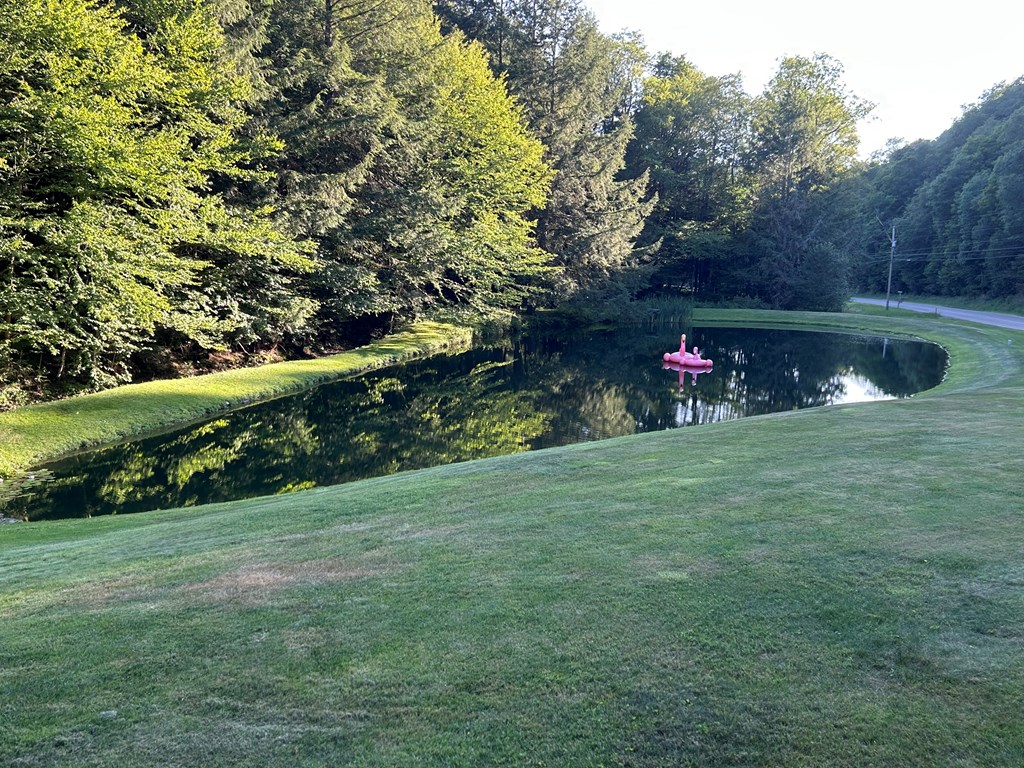 656 North Hollow Road