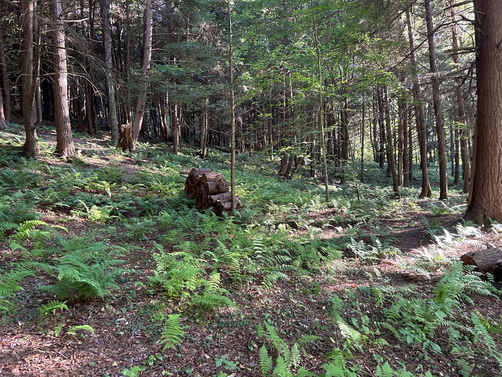 656 North Hollow Road