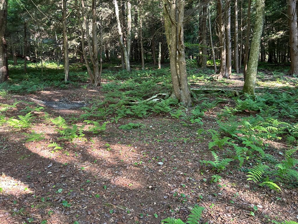 656 North Hollow Road