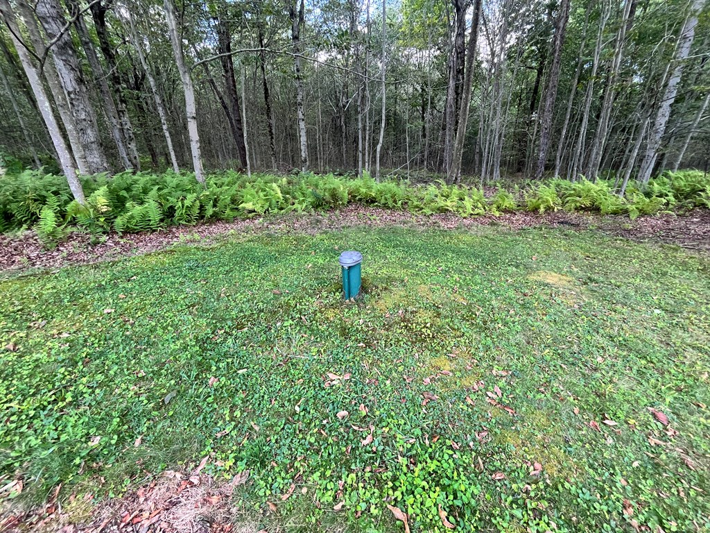 743 Black Diamond Rd