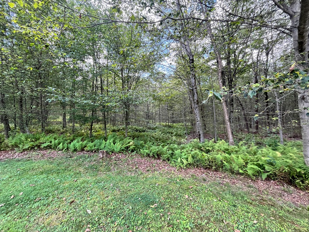 743 Black Diamond Rd