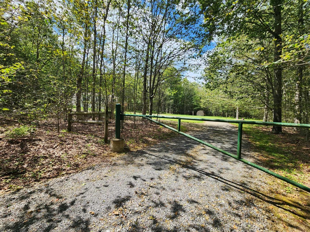 743 Black Diamond Rd
