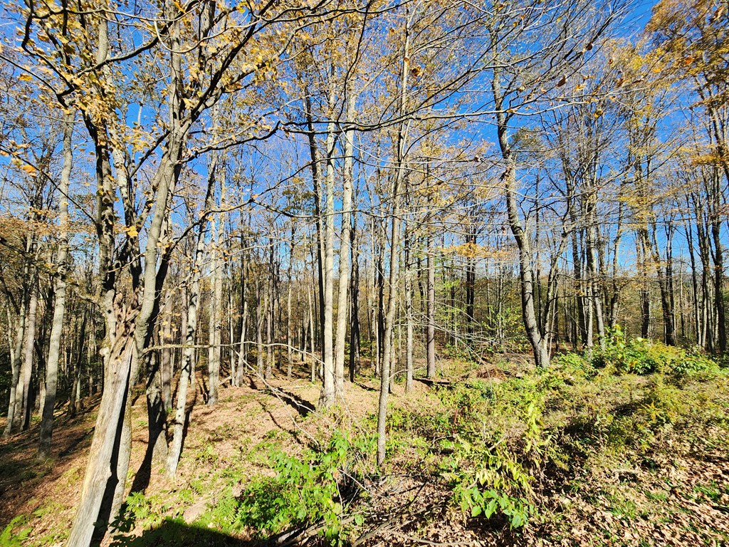 44 Mystery Mountain Lane