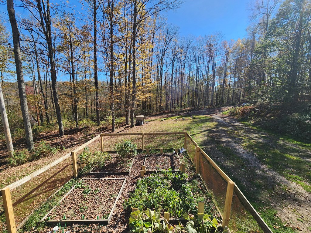 44 Mystery Mountain Lane