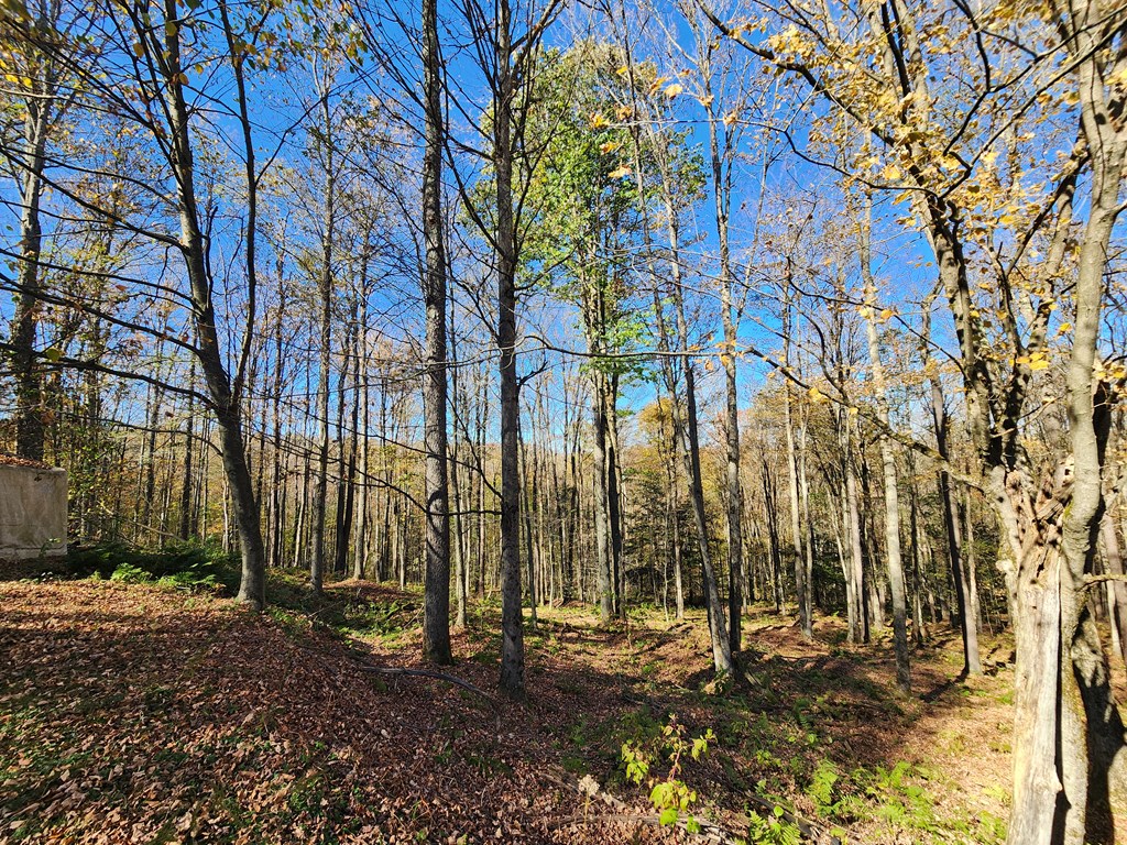 44 Mystery Mountain Lane