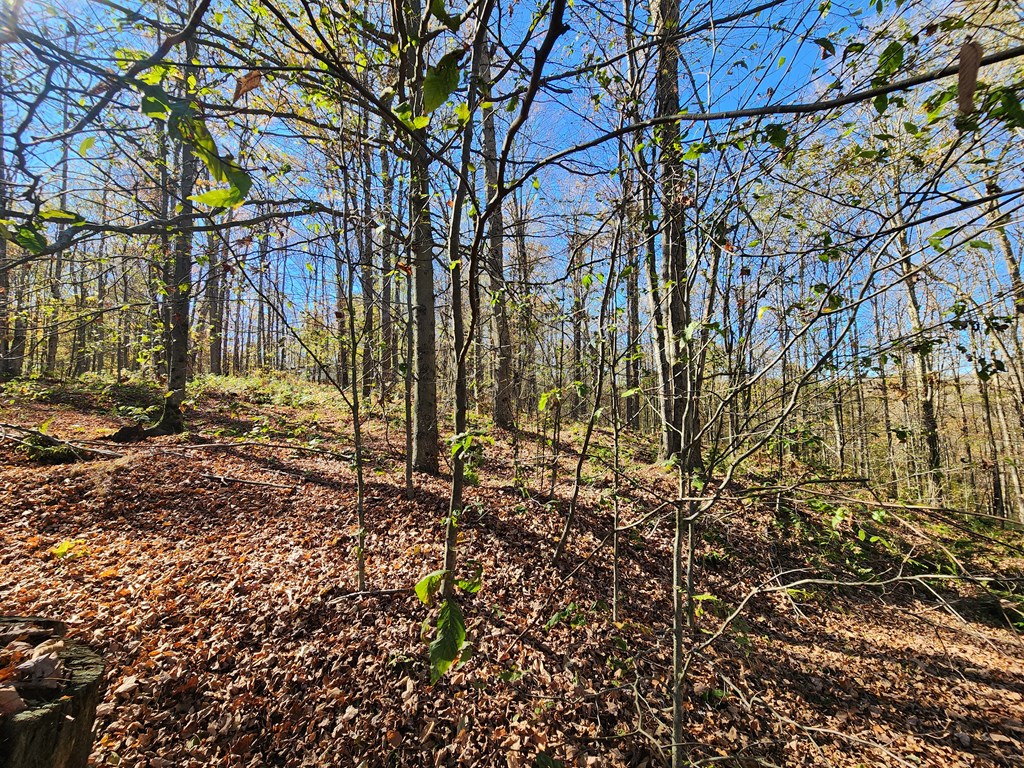 44 Mystery Mountain Lane