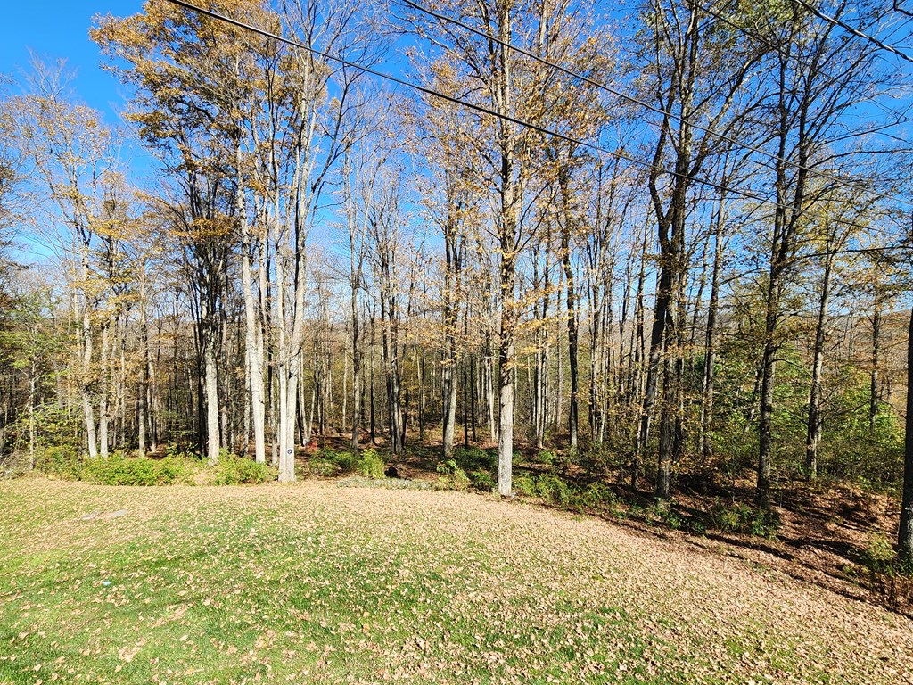 44 Mystery Mountain Lane