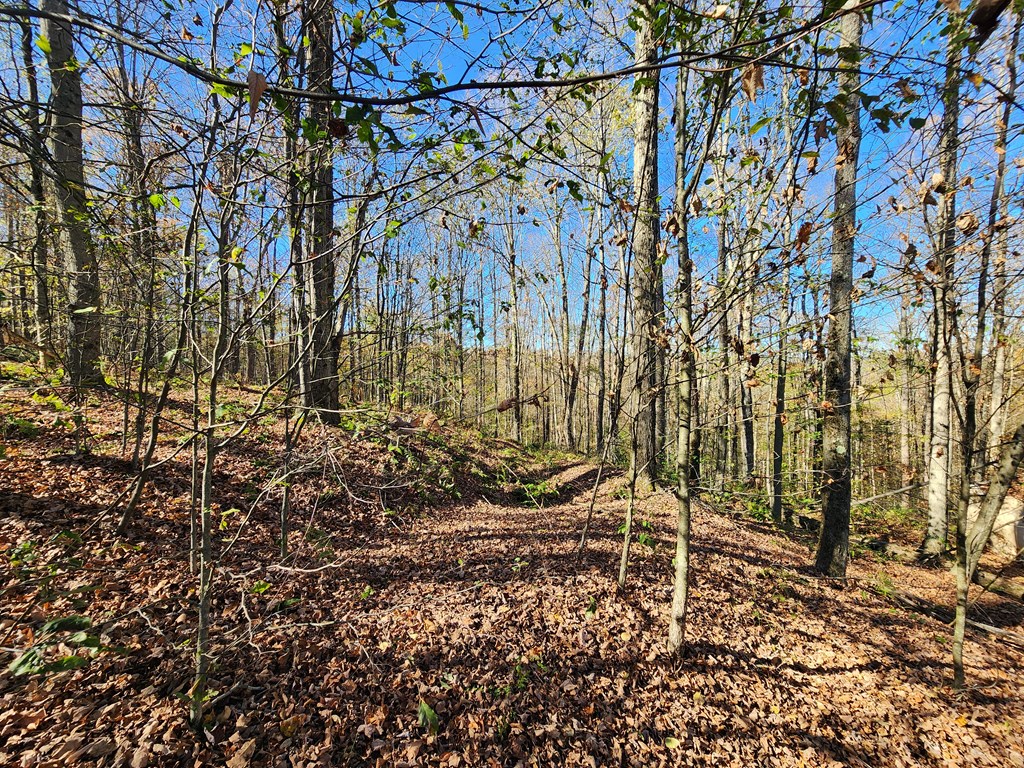 44 Mystery Mountain Lane