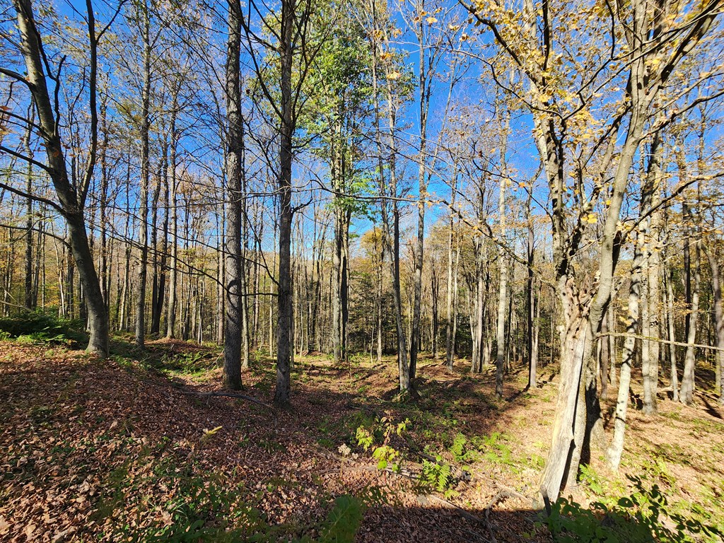 44 Mystery Mountain Lane