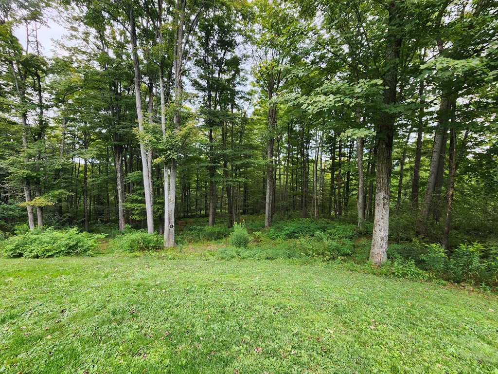 44 Mystery Mountain Lane