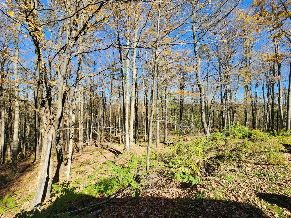 44 Mystery Mountain Lane