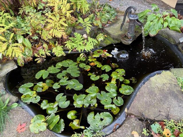 313 N. Brookland Rd.