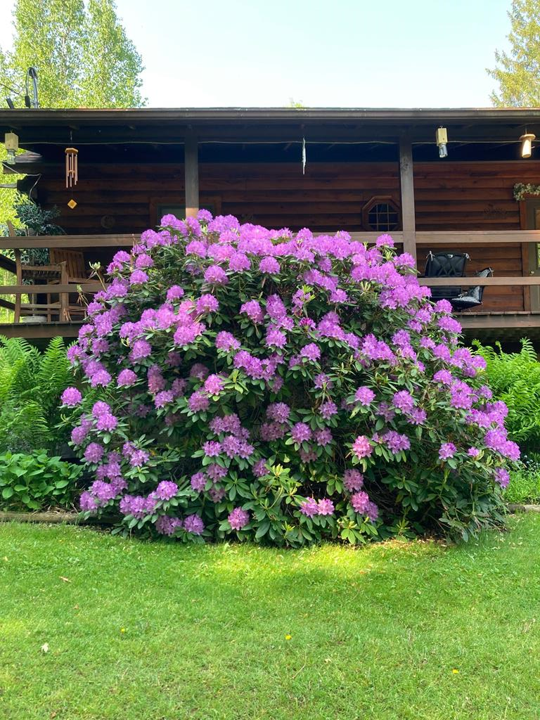 313 N. Brookland Rd.