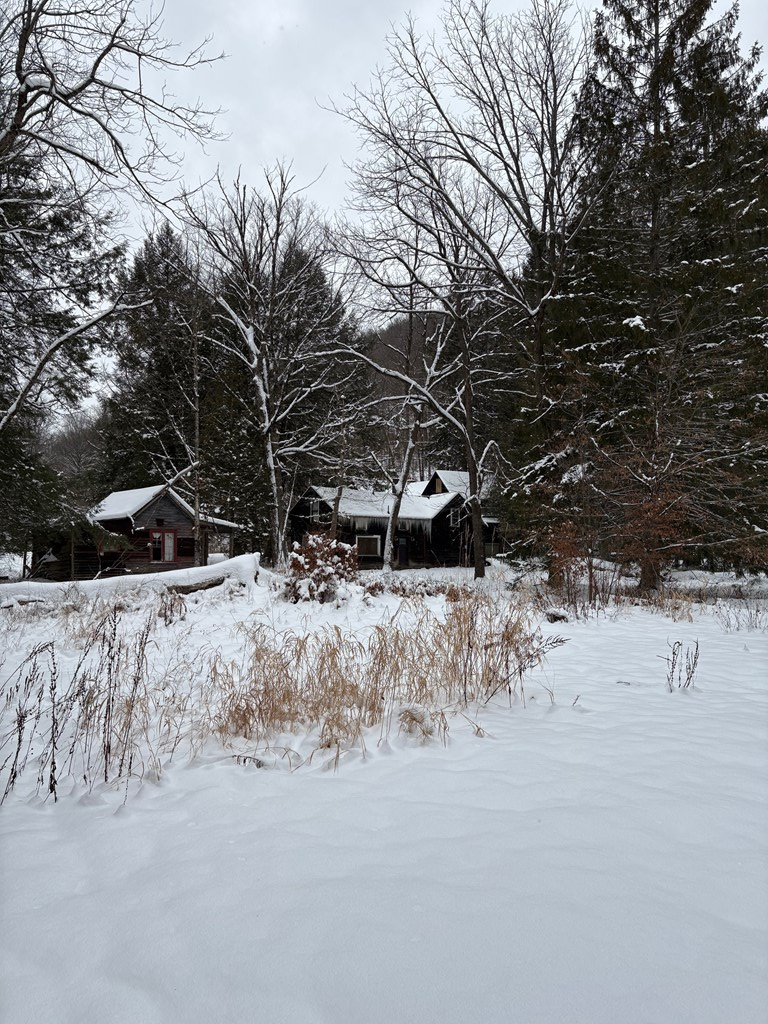 1358 S. Brookland Rd