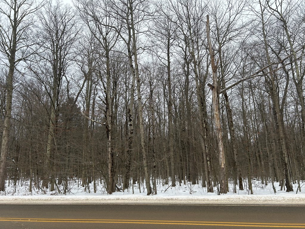 000 Cherry Springs Road