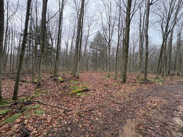 000 Cherry Springs Road