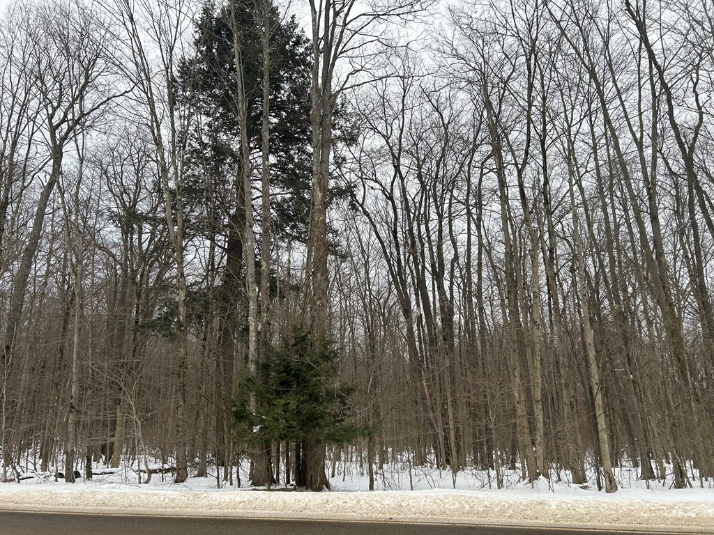 000 Cherry Springs Road