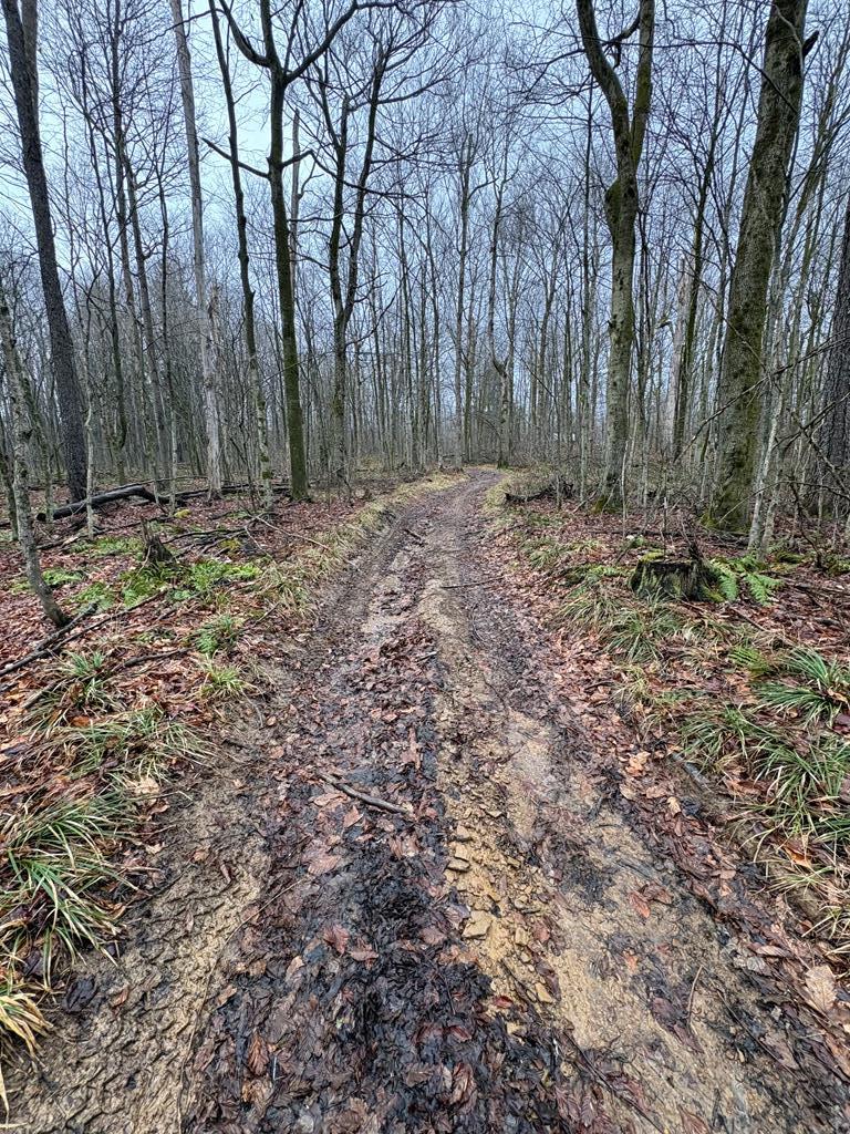 000 Cherry Springs Road