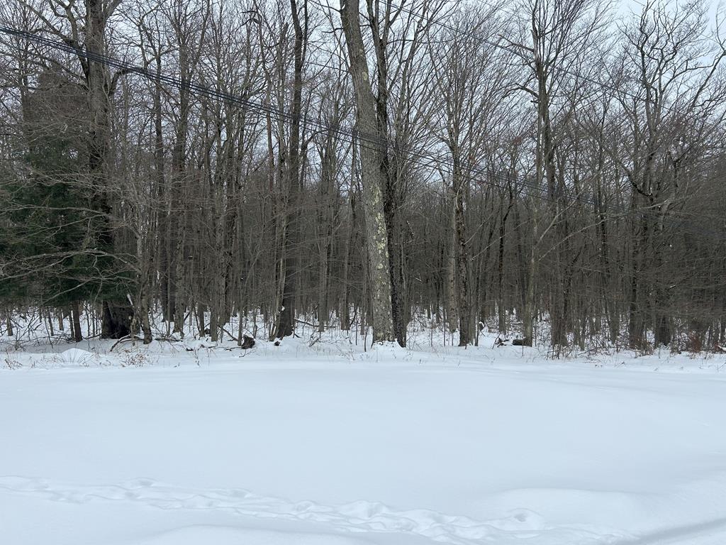 000 Cherry Springs Road