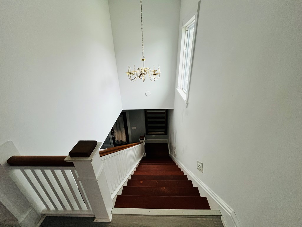 107 Borie St