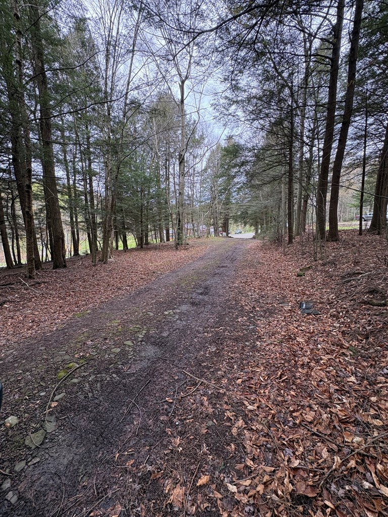 4 Hemlock Ln