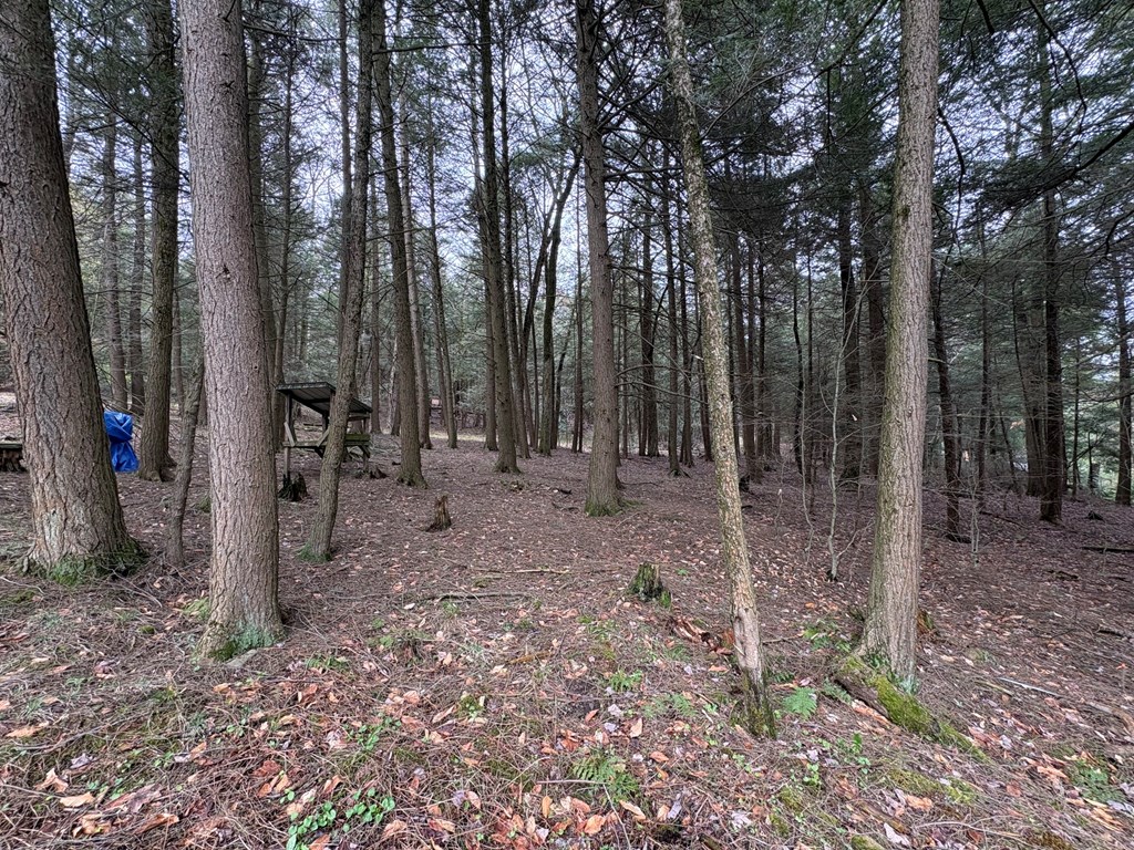 4 Hemlock Ln