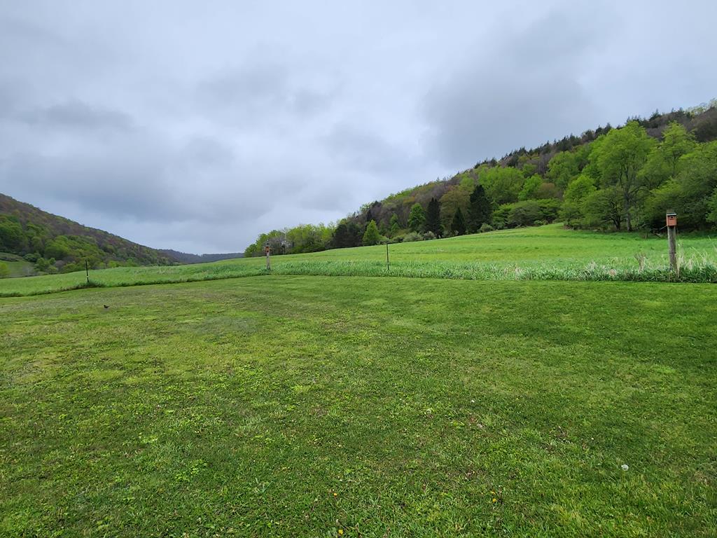 220 Hamilton Run Rd
