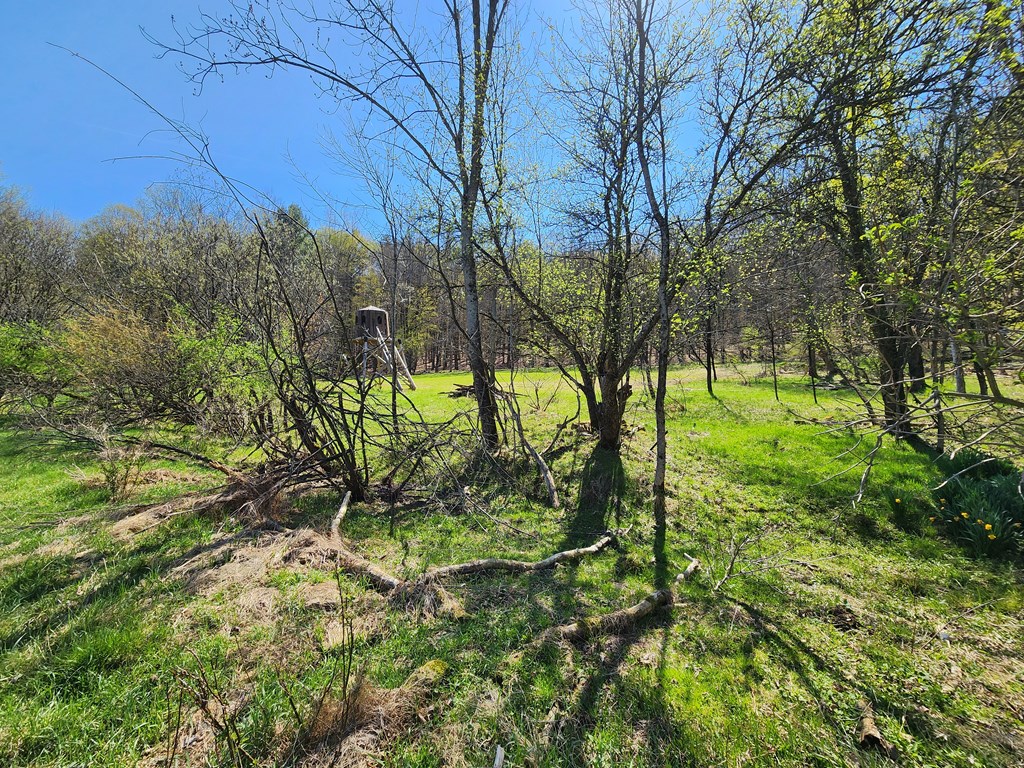949 Streeterbrook Rd
