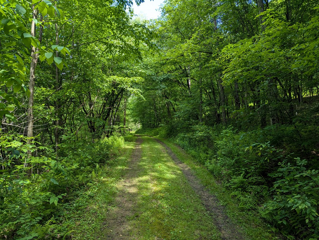 122 Raven Hill Rd