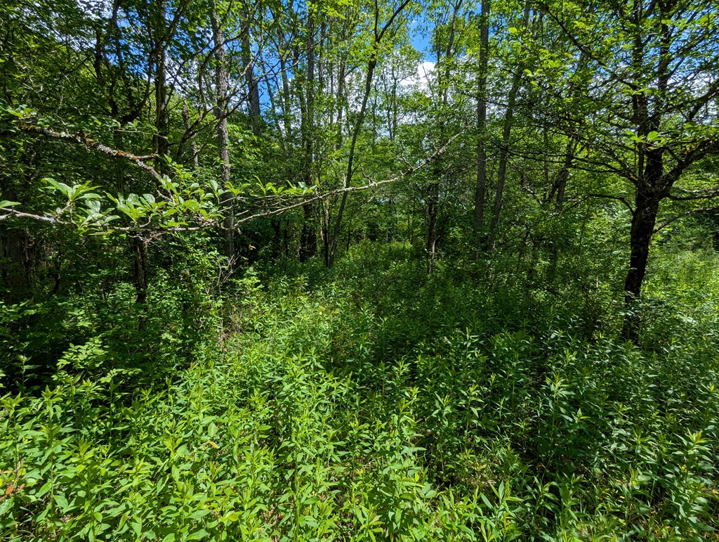 122 Raven Hill Rd