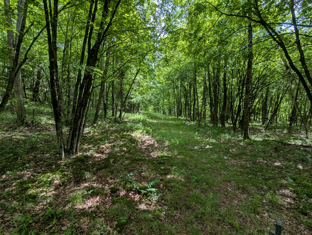 122 Raven Hill Rd