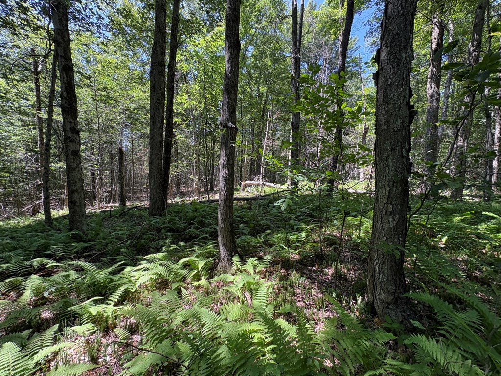 198 N. Baker Hollow Rd.