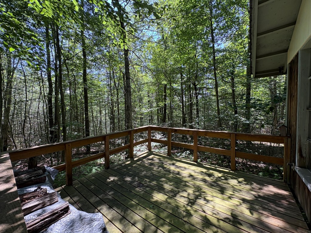 198 N. Baker Hollow Rd.