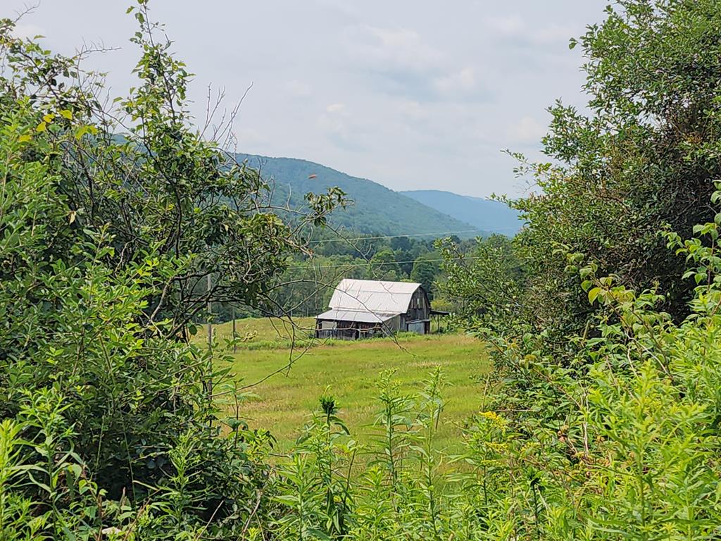 1639 Eleven Mile Rd