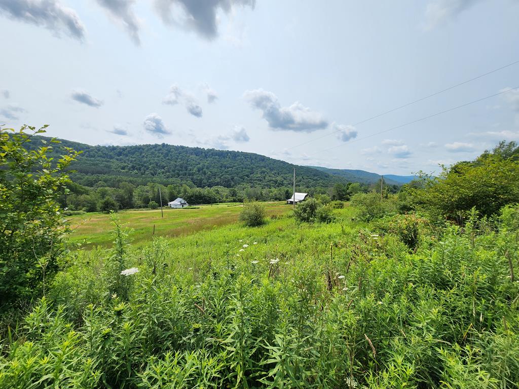 1639 Eleven Mile Rd