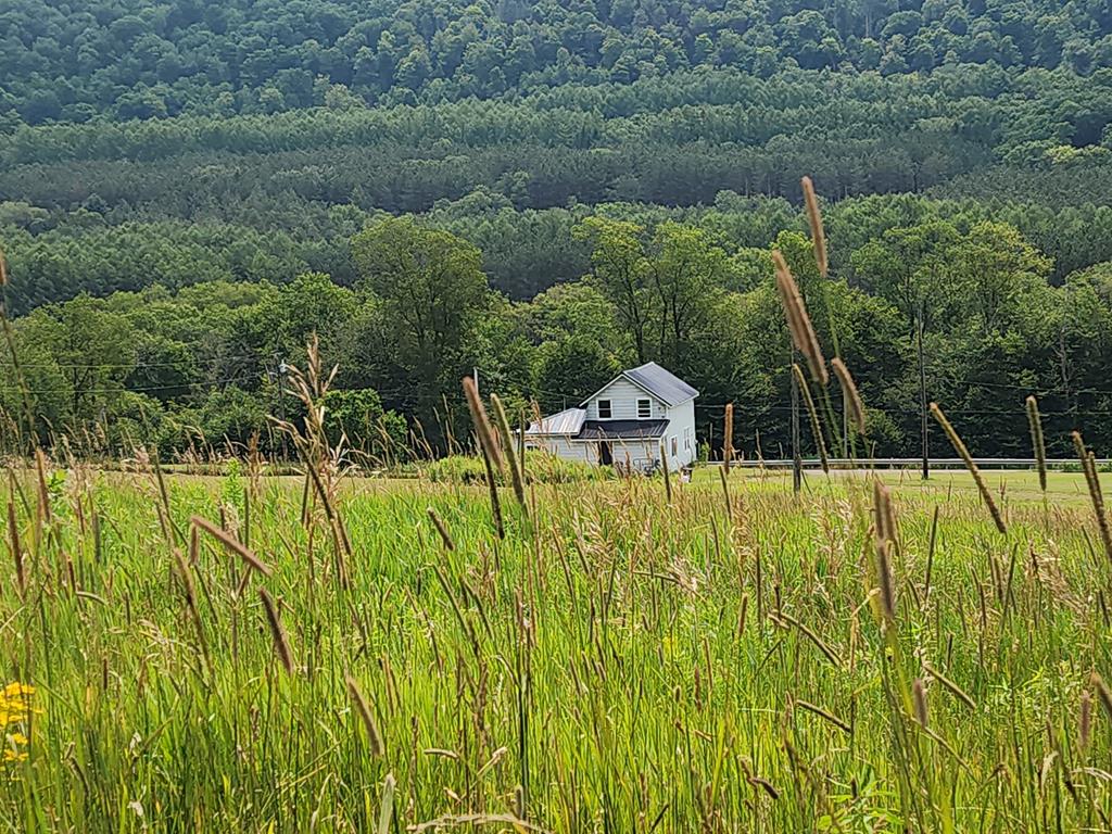 1639 Eleven Mile Rd