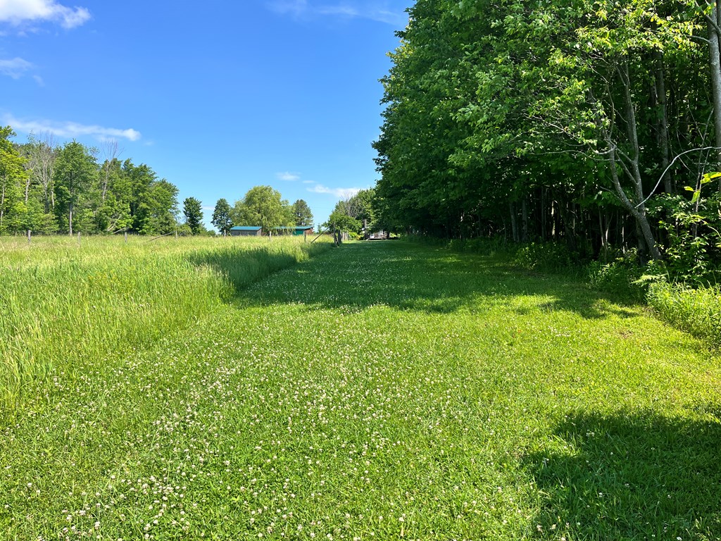 882 Alma Hill Road