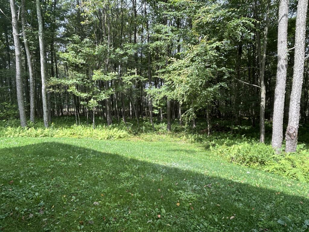 141 Neefe Road