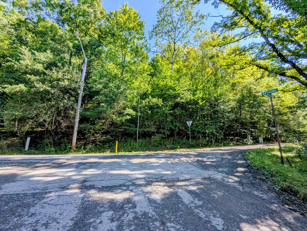 00 Lots # 18 & 19 Max Roys Drive