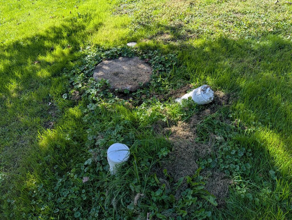 Grassy yard with a circular ground cover and two white utility access caps.