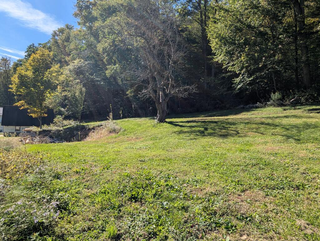 Grassy property yard with mature trees and a small outbuilding at the edge.